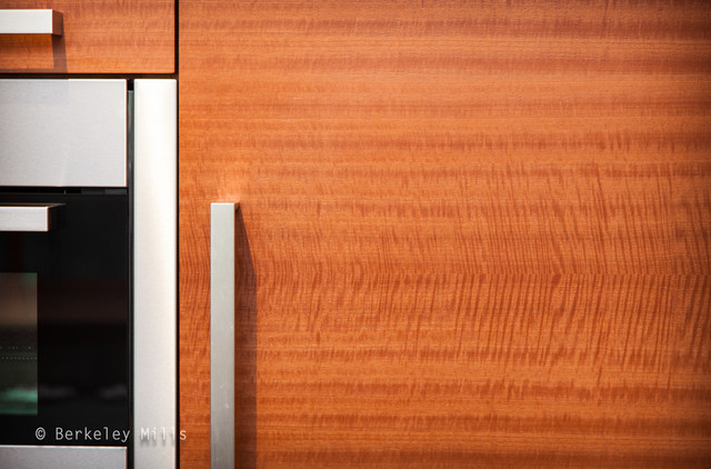Applegate Tran & Berkeley Mills contemporary-