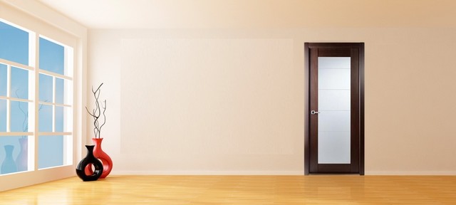 Maximum 209 Interior Door Wenge -