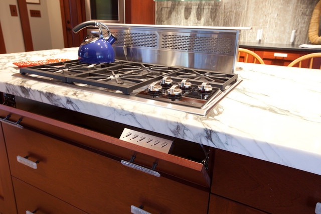 Sleek Contemporary Kitchen traditional kitchen