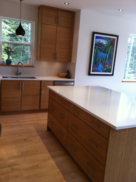 Kitchen Craft Cabinetry Vancouver modern kitchen
