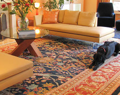 Contemporary Living Room contemporary living room
