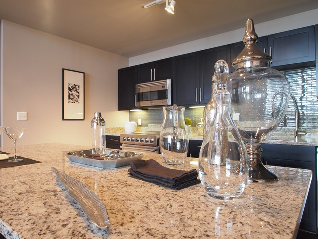 SIlo Point Model Home contemporary kitchen