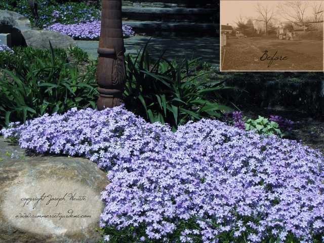 Spring Garden Ground Cover Detail - Traditional - Landscape - new york