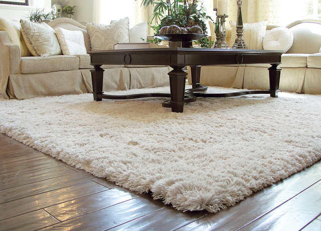 Auroroa Borealis Shag Rug - traditional - living room - orange ...