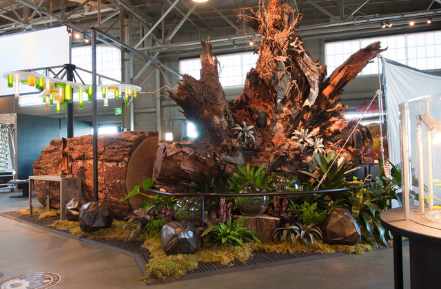 Seed of Life by LOCZIdesign eclectic