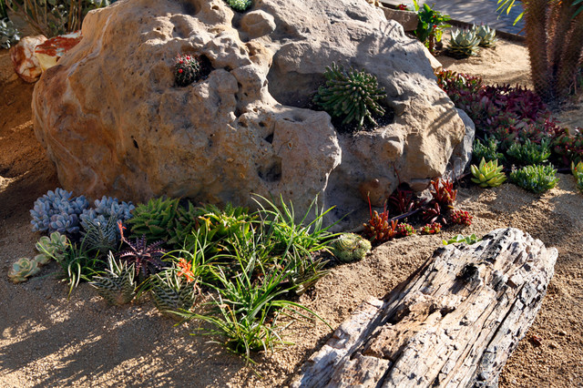 Backyard Hill Landscape Design Ideas, Carlsbad, CA contemporary landscape