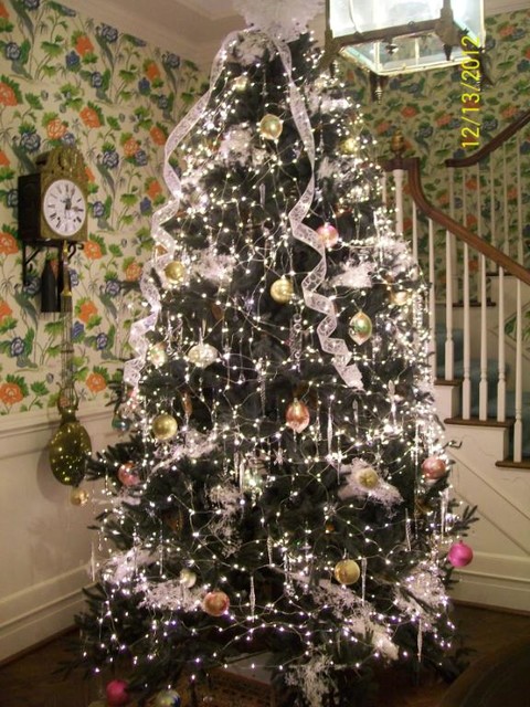 Aspen Silver Fir™ by Aspen Christmas traditional-