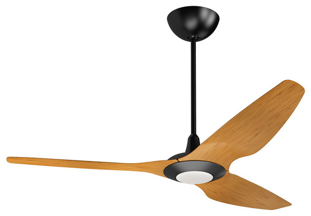 Haiku Ceiling Fan LED  Modern  Ceiling Fans  louisville  by Big Ass Fans