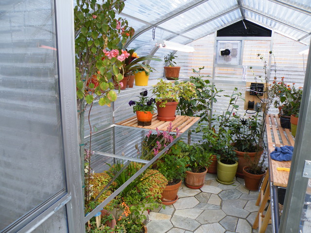 Model 1000 traditional-garage-and-shed