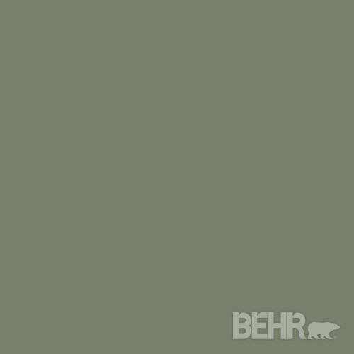 BEHR® Paint Color Bahia Grass 430F5 Modern Paint by BEHR®