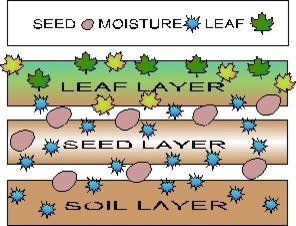 What Does *Stratification* Mean?