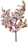 Berry Pick contemporary-holiday-decorations