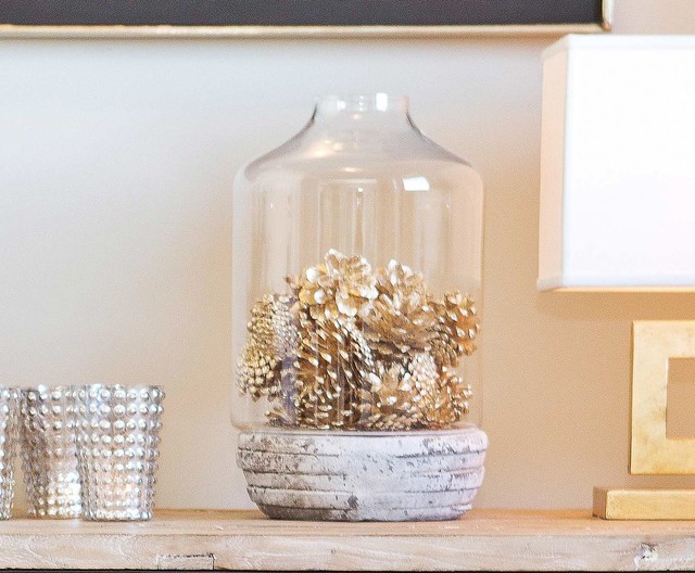 Glass Terrarium san francisco by Tamara Mack Design