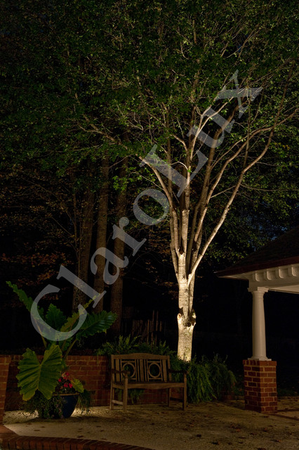 Landscape Lighting Photos by ClaroLux traditional-
