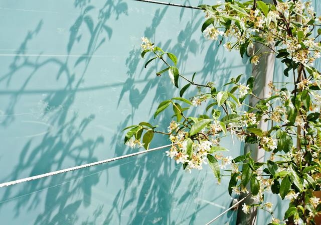London roof terrace contemporary-landscape