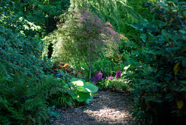 mediterranean landscape by Jay Sifford Garden Design