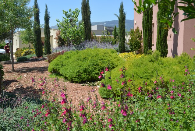Rural atmosphere and mediterranean flora mediterranean-landscape
