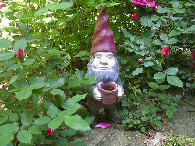 eclectic landscape Garden Gnome