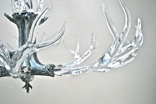 Glass Antlers