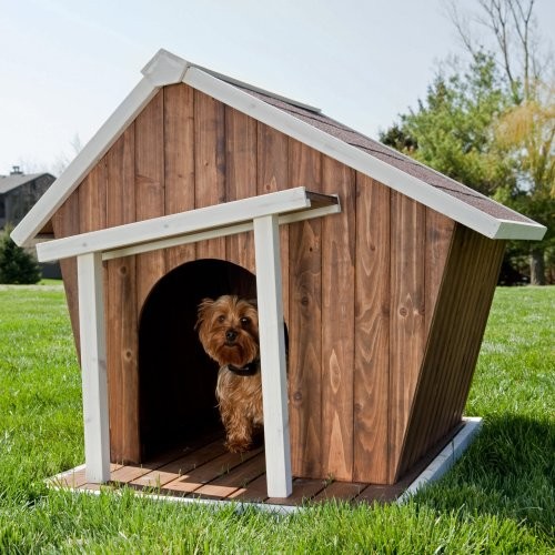 climate controlled dog shed