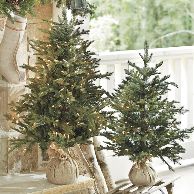suzanne kasler frasier fir tabletop tree traditional suzanne kasler frasier fir tabletop tree traditional