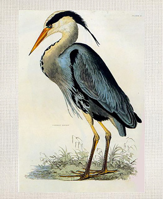 Art Needlepoint Blue Heron Kit by Audubon Traditional Fabric by