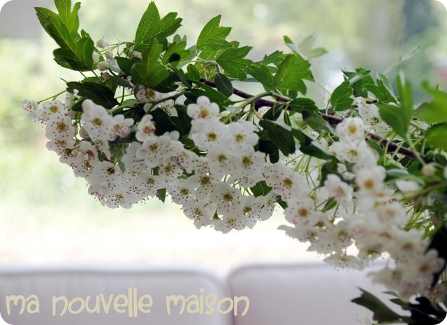 "Ma nouvelle maison" traditional-family-room
