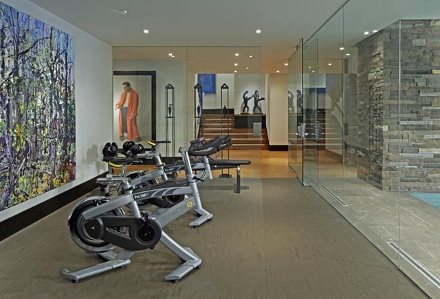 Exercise Room - contemporary - home gym - toronto - by Douglas ...
