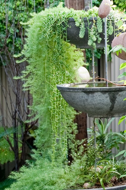 hanging pot garden - contemporary - landscape - perth - by ...