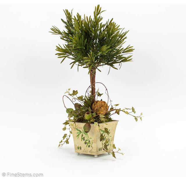 Rosemary Topiary Traditional Plants chicago by FineStems