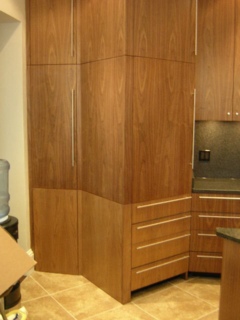 Black Walnut Kitchen modern kitchen