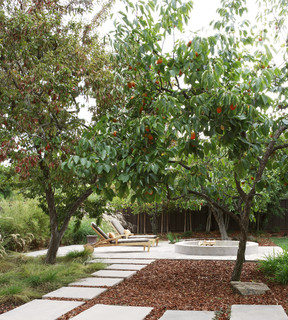 Contemporary Patio by San Francisco Landscape Architects & Landscape Designers Arterra LLP Landscape Architects