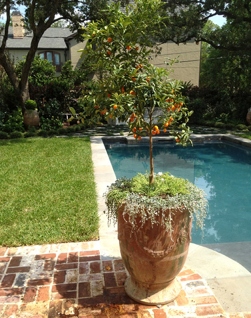Pools mediterranean-hot-tub-and-pool-supplies