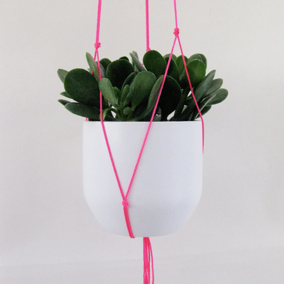 hanging plant holders indoor