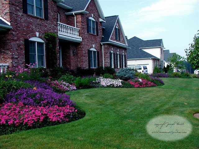 Front Yard Planting Design  Traditional  Landscape  new york  by Summerset Gardens/Joe Weuste