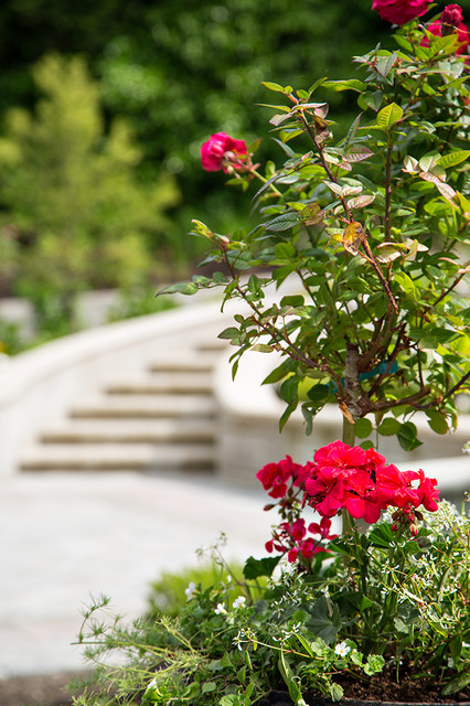 Private Residence West Side Vancouver traditional landscape