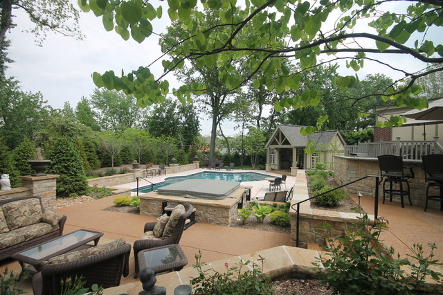 Pool & Back Yard traditional-pool