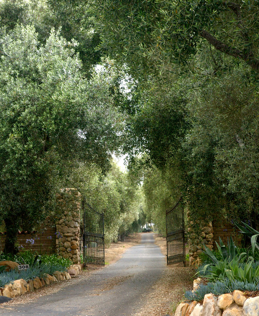 Driveway Gate Entrance - Mediterranean - Landscape - santa ...