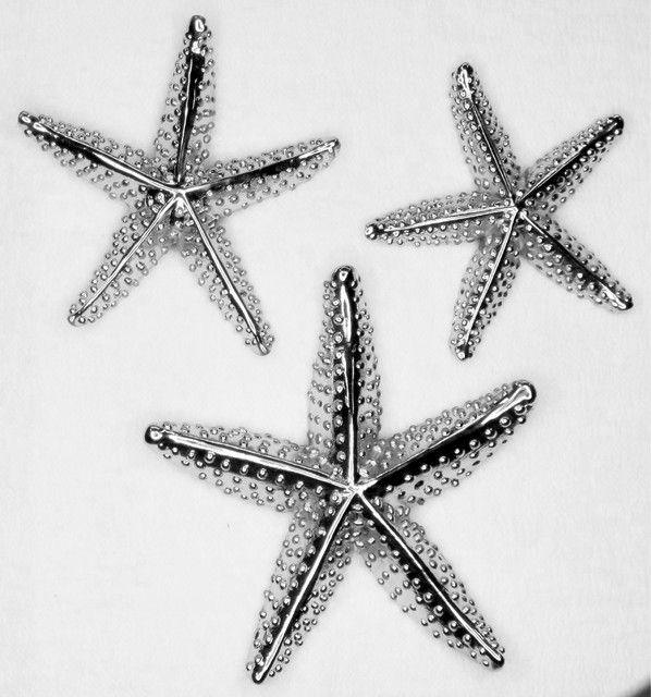 Starfish Cabinet Knobs Trio tropical knobs