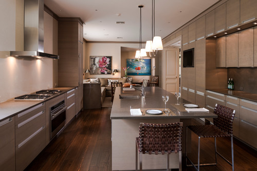 Contemporary Kitchen - Cooktop and Wall Oven