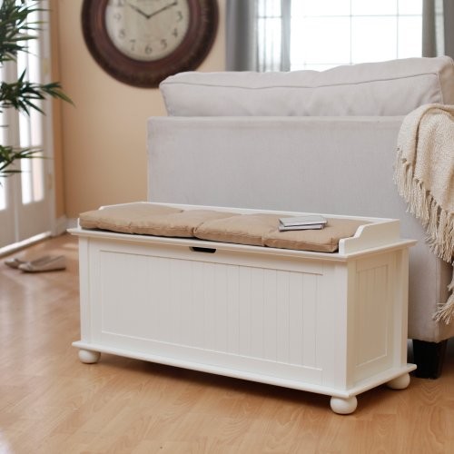 Shoe Storage Bench with Cushion