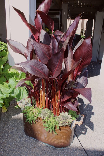Outdoor Containers traditional landscape