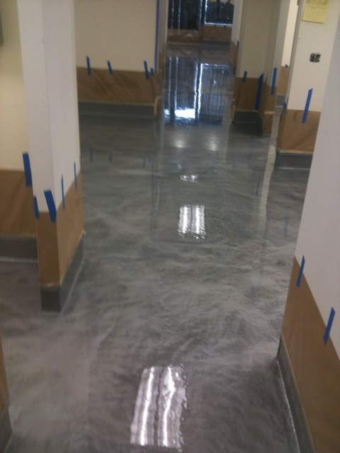newport beach california animal hospital metallic epoxy floor modern los angeles by newport beach california animal hospital metallic epoxy floor modern los angeles by
