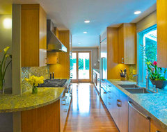 Galley Kitchen modern kitchen
