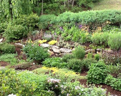 New Ways to Think About All That Mulch in the Garden