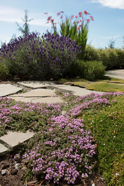 Residential Design -landscape