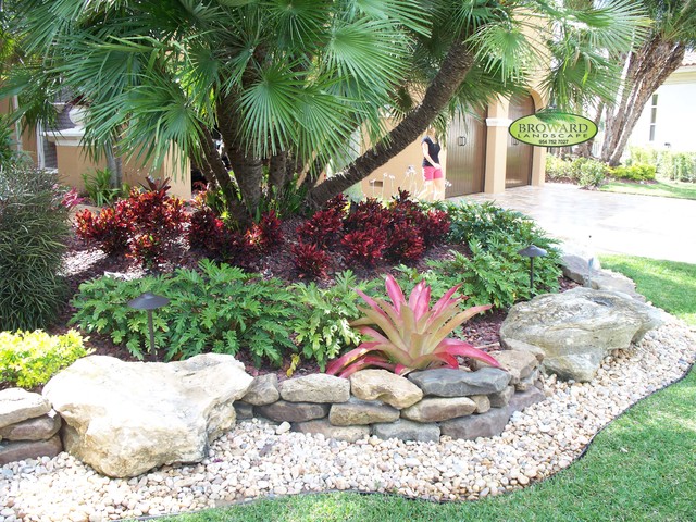 1000+ images about Cool climate tropical garden ideas on ...