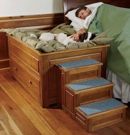  For little dogs I love this doggy bed beside a bed idea that even has stairs to climb up and sleep beside their masters.