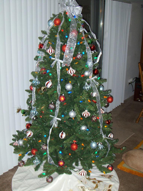 Allegheny Evergreen Outdoor Tree modern