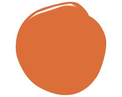 Benjamin Moore Natura Paint, Orange Parrot modern paints stains and glazes